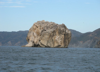 Санта Роза Национальный Парк, Гуанакасте провинция, Коста-Рика, фото № 39347 – фотографии Коста-Рики