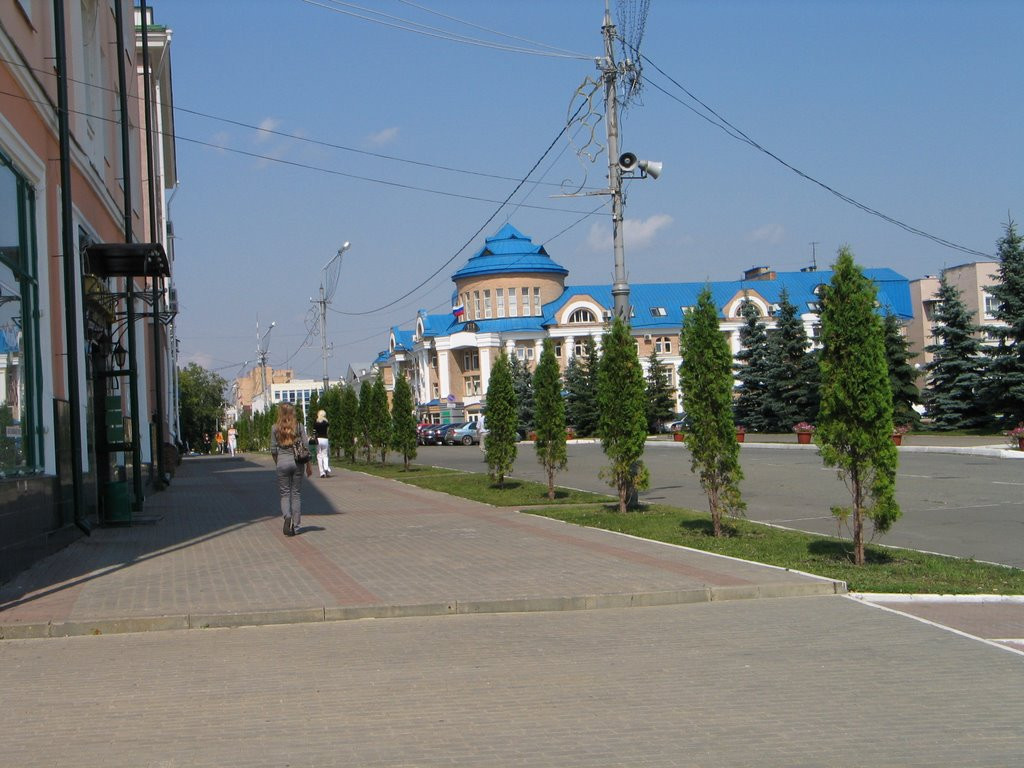 Улица в Саранске, Россия. Фото 7 – фотографии России