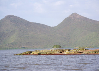 Крокодилы в Эфиопии – фотографии Эфиопии