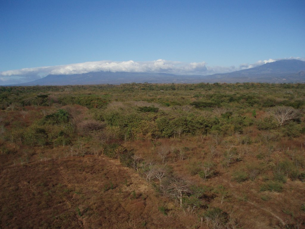 Гуанакастэ Национальный Парк, Гуанакасте провинция, Коста-Рика, фото № 39244 – фотографии Коста-Рики