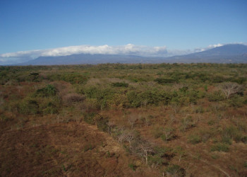 Гуанакастэ Национальный Парк, Гуанакасте провинция, Коста-Рика, фото № 39244 – фотографии Коста-Рики