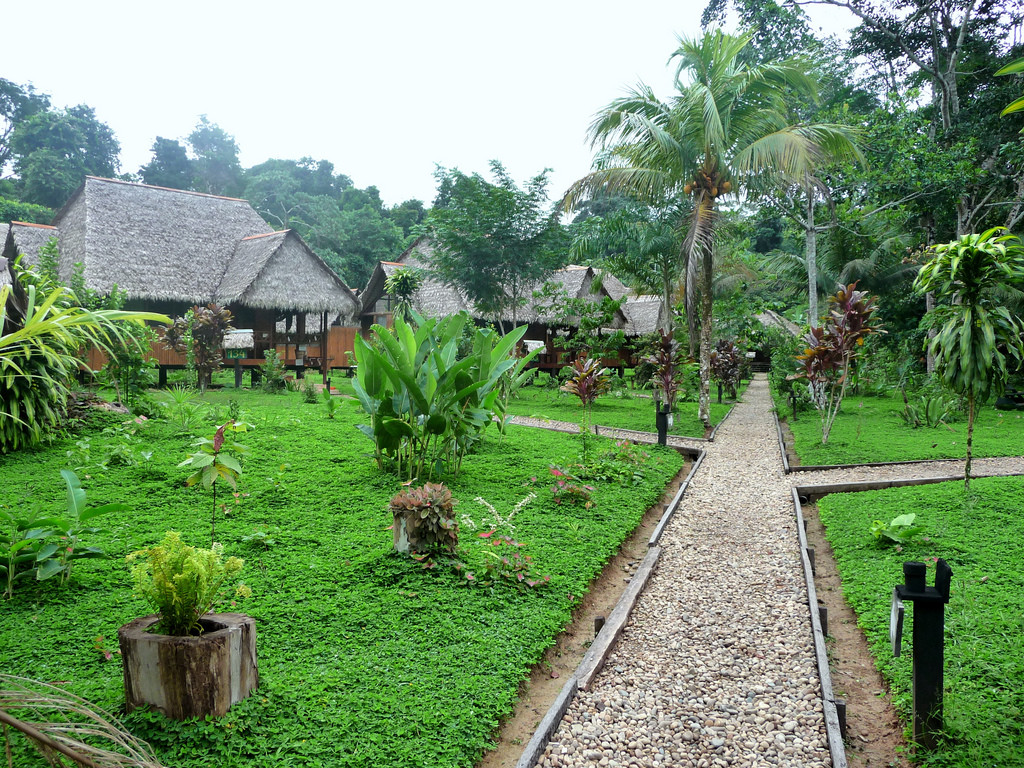Лоджи в заповеднике Тамбопата (Tambopata National Reserve) – фотографии Перу