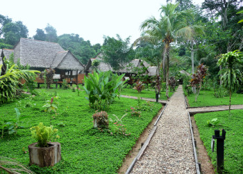 Лоджи в заповеднике Тамбопата (Tambopata National Reserve) – фотографии Перу