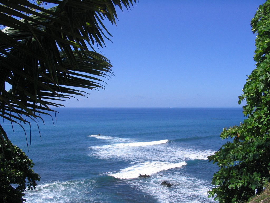 Плайя Эрмос, Пунтаренас провинция, Коста-Рика, фото № 41001 – фотографии Коста-Рики