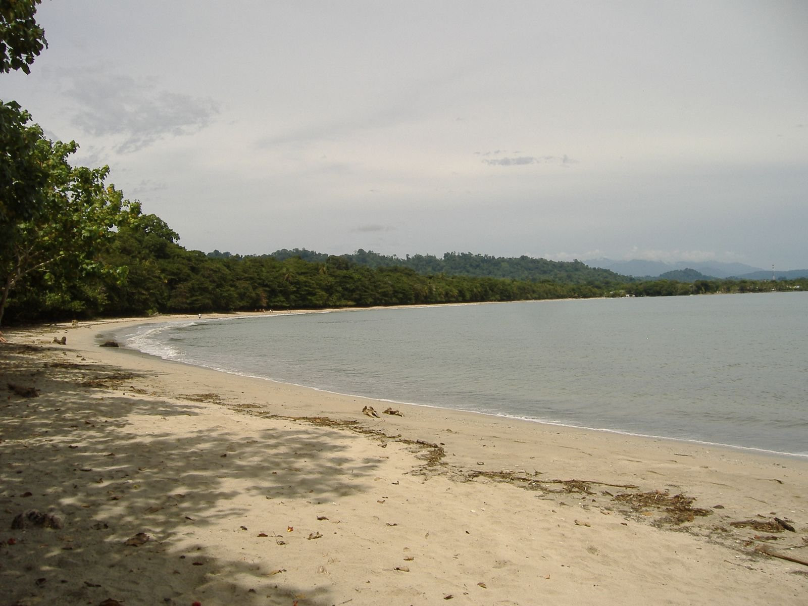 Кауита Национальный Парк, Лимон провинция, Коста-Рика, фото № 40082 – фотографии Коста-Рики