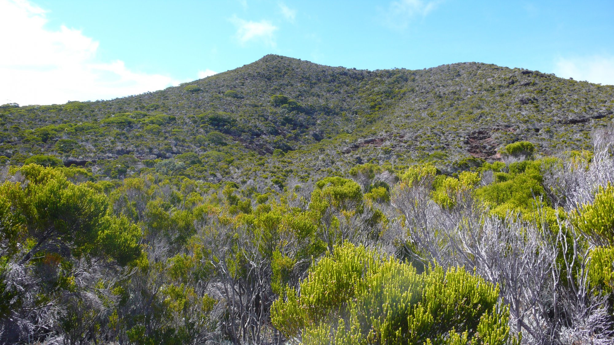 Питон-де-ла-Фурно, Реюньон, фото № 25566 – фотографии Реюньона