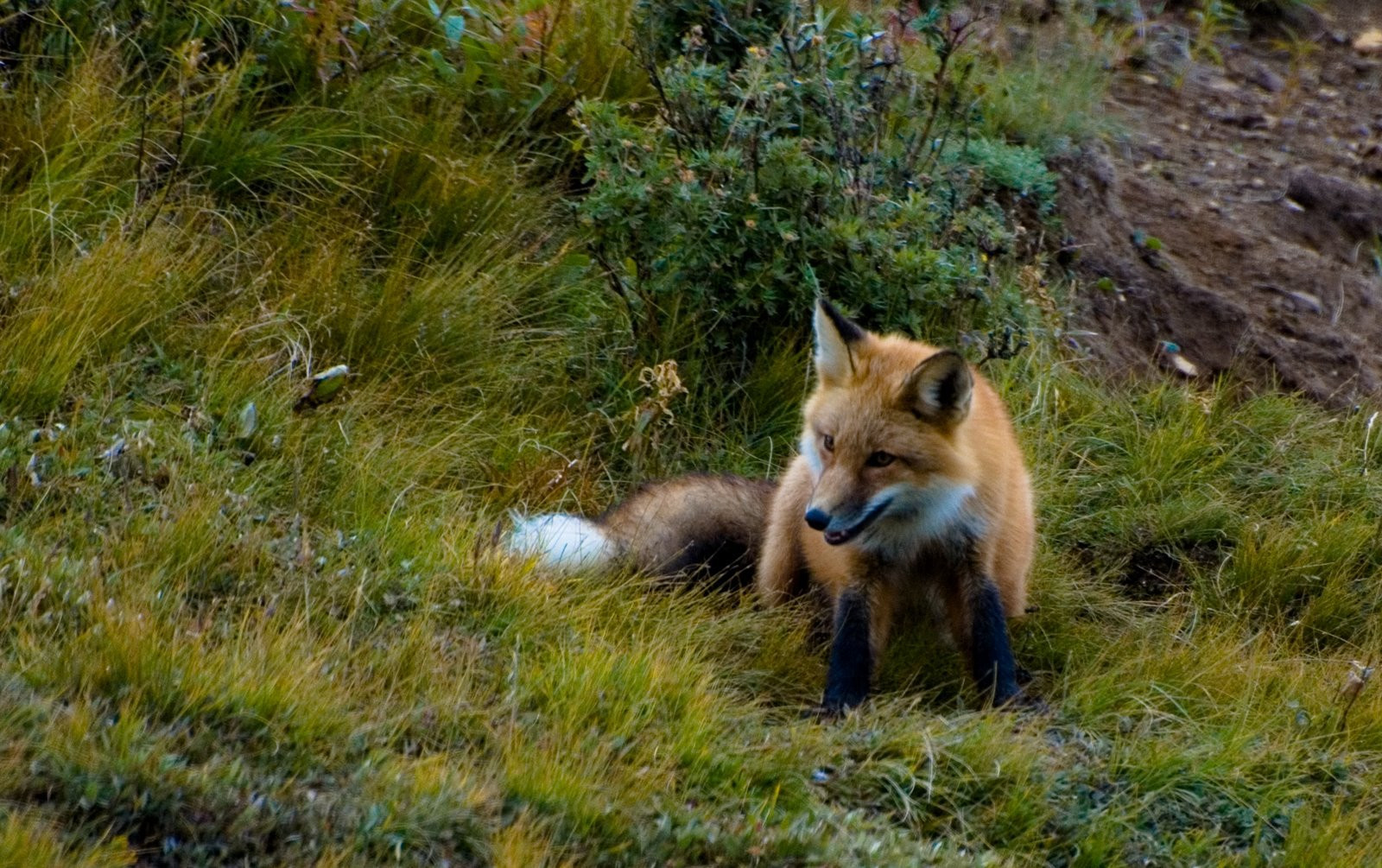 Аляска штат, США, фото № 67695 – фотографии США
