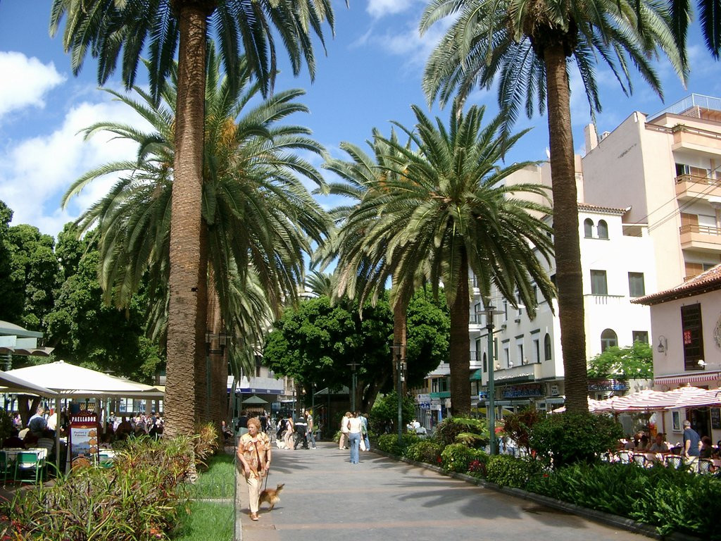 Пуэрто-де-ла-Крус, Тенерифе остров, Канарские острова, фото № 33638 – фотографии Канарских островов