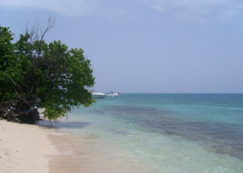 Пляж в Лайм Кей, Ямайка. Фото 23 – фотографии Ямайки