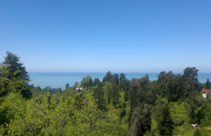 Цихисдзири, Грузия, фото № 73733 – фотографии Грузии