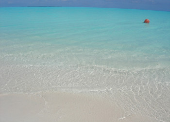 Море на острове Абако, Багамские острова. Фото 5 – фотографии Багамских островов