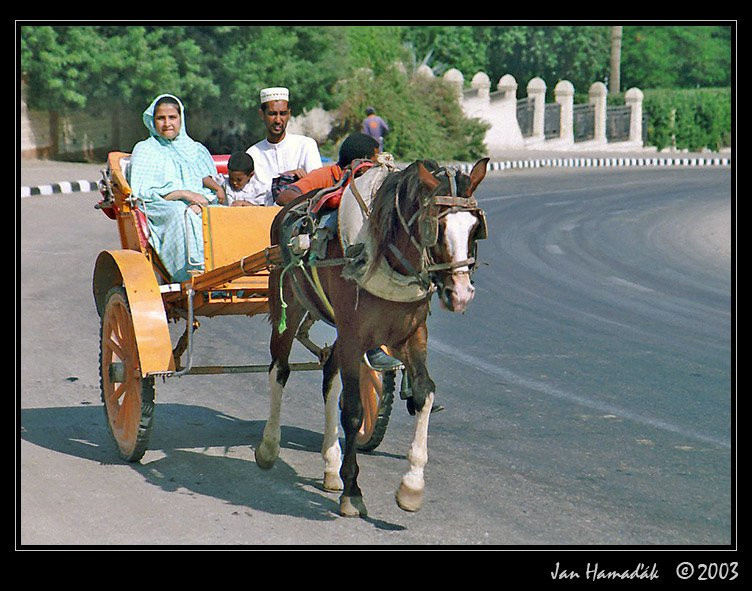 Египет, фото № 620 – фотографии Египта