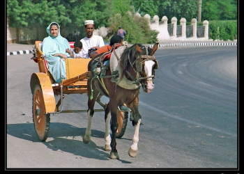 Египет, фото № 620 – фотографии Египта