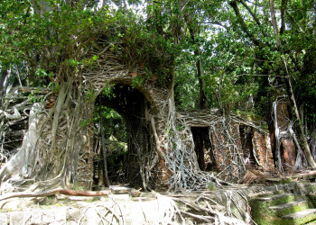 Туристический остров Росс (Ross Island) в Индийском океане – фотографии Индии