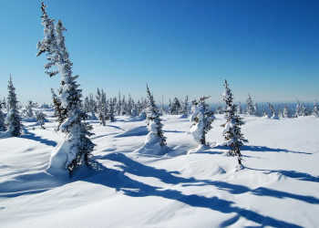Зима в Шерегеш, Россия – фотографии России