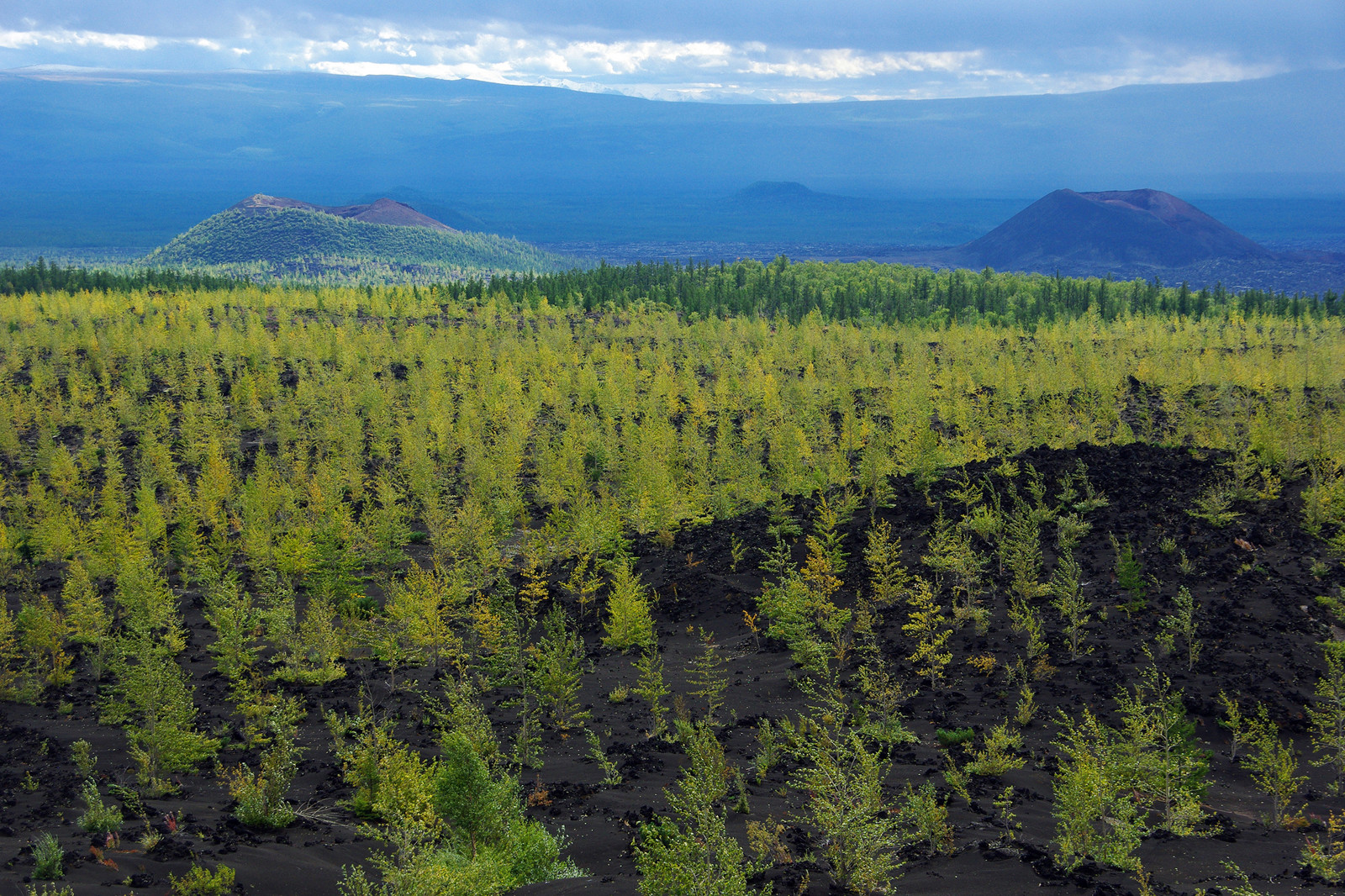 Природа, Камчатский полуостров. Фото 1 – фотографии России