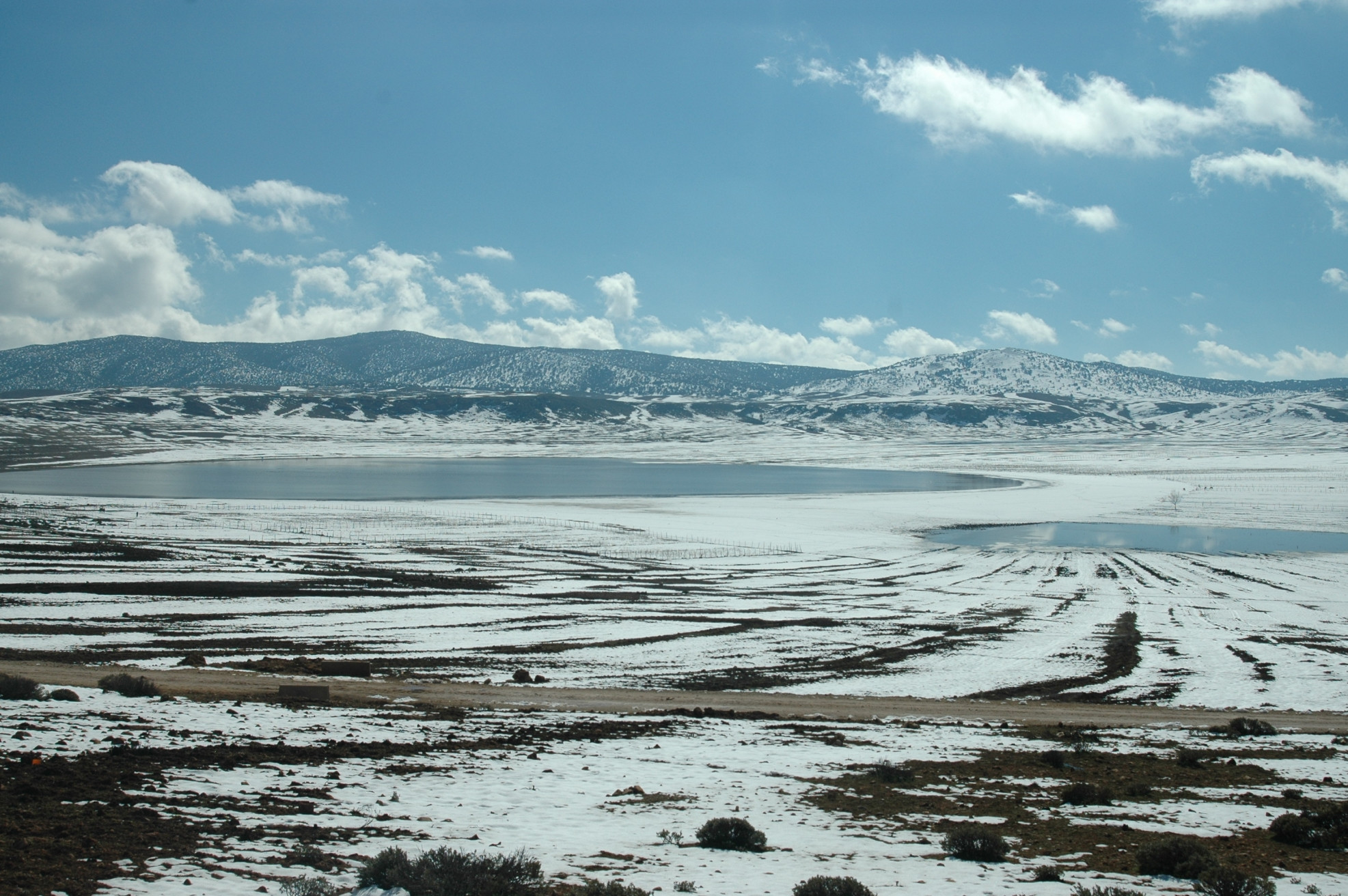 Ифран, Марокко, фото № 7491 – фотографии Марокко