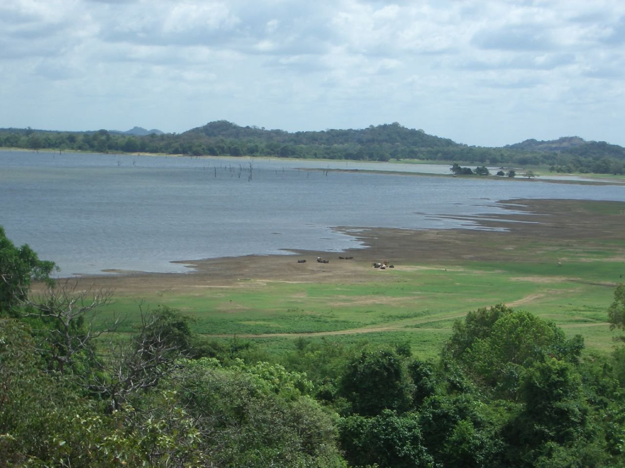 Кандалама, Шри-Ланка, фото № 51272 – фотографии Шри-Ланки