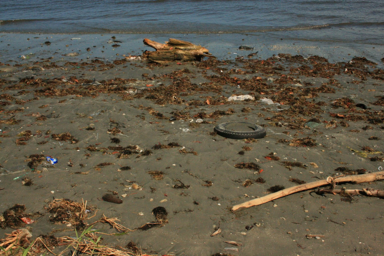 Сува, Вити Леву остров, Вити Леву группа островов, Фиджи, фото № 49662 – фотографии Фиджи