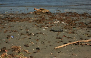 Сува, Вити Леву остров, Вити Леву группа островов, Фиджи, фото № 49662 – фотографии Фиджи