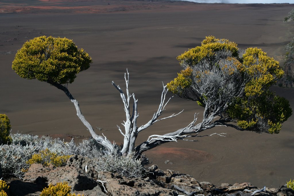 Плень-де-Сабль, Реюньон, фото № 25687 – фотографии Реюньона