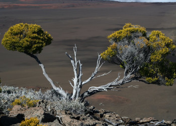 Плень-де-Сабль, Реюньон, фото № 25687 – фотографии Реюньона