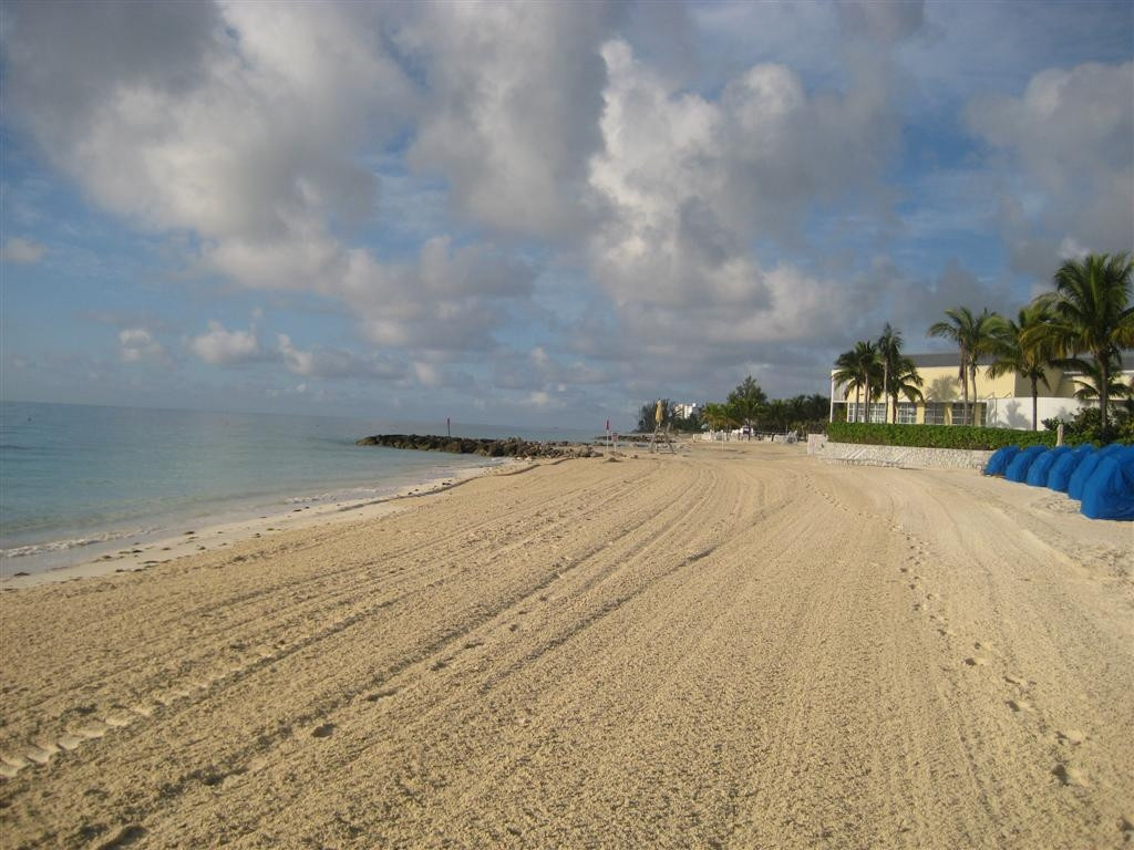 Берега на острове Гранд Багама, Багамские острова. Фото 9 – фотографии Багамских островов