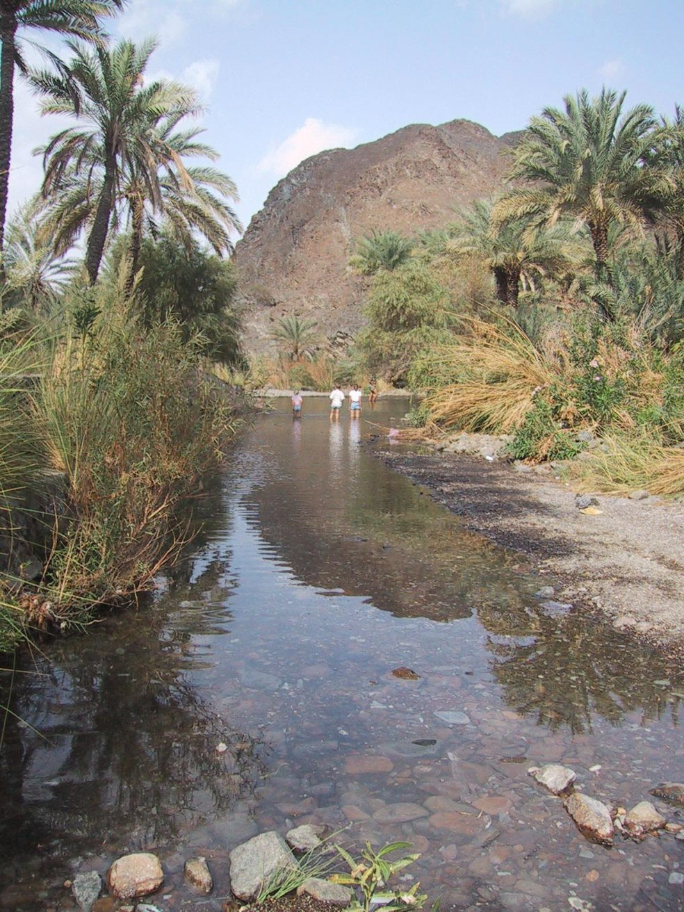Рас-аль-Хайма, ОАЭ, фото № 61105 – фотографии ОАЭ