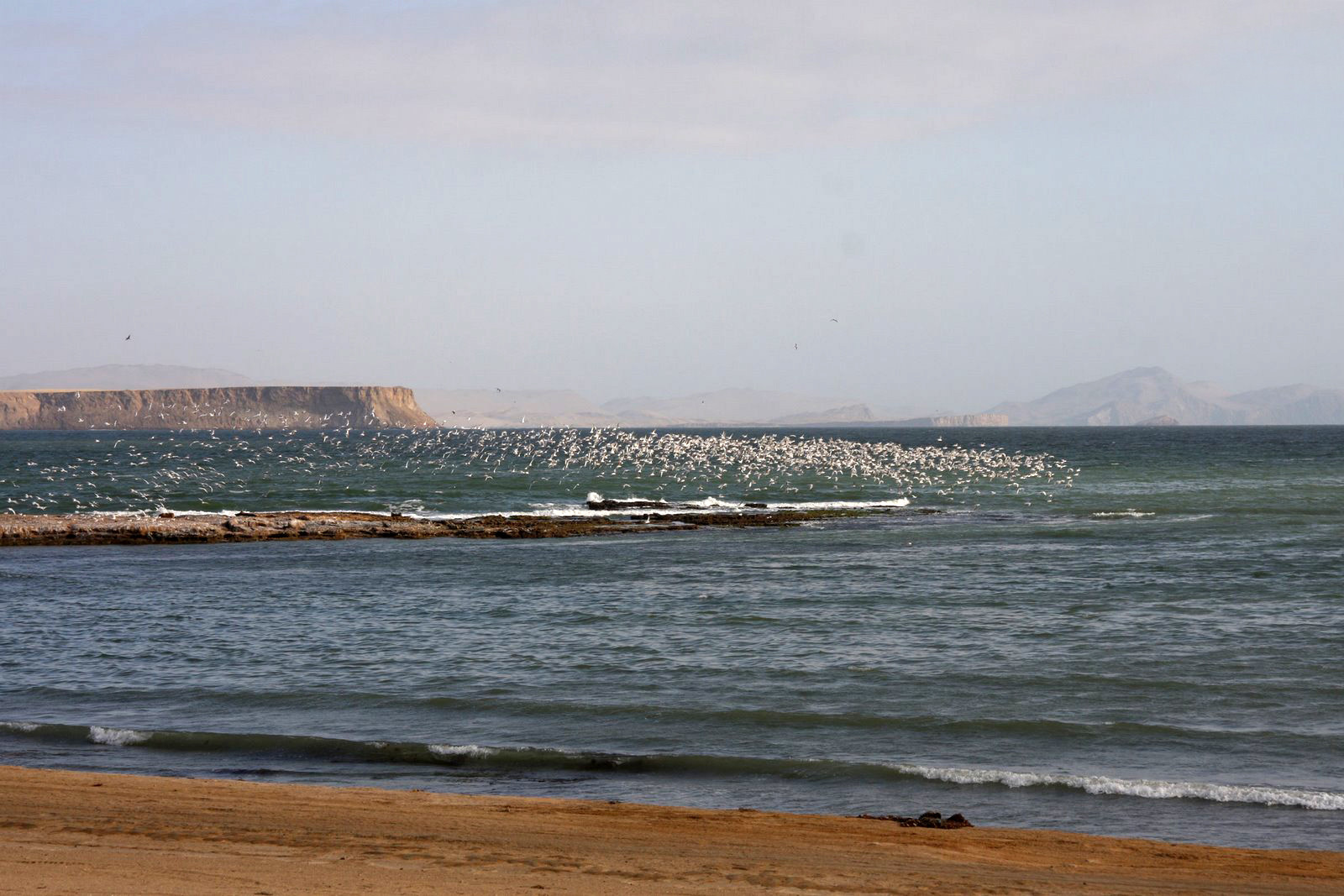 Паракас – фотографии Перу