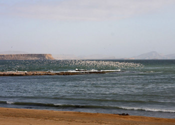 Паракас – фотографии Перу