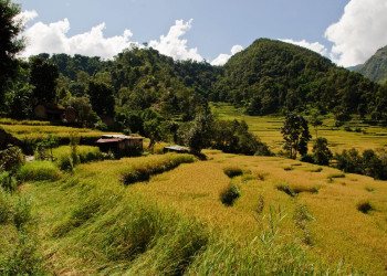 Аннапурна заповедник, Непал, фото № 78887 – фотографии Непала