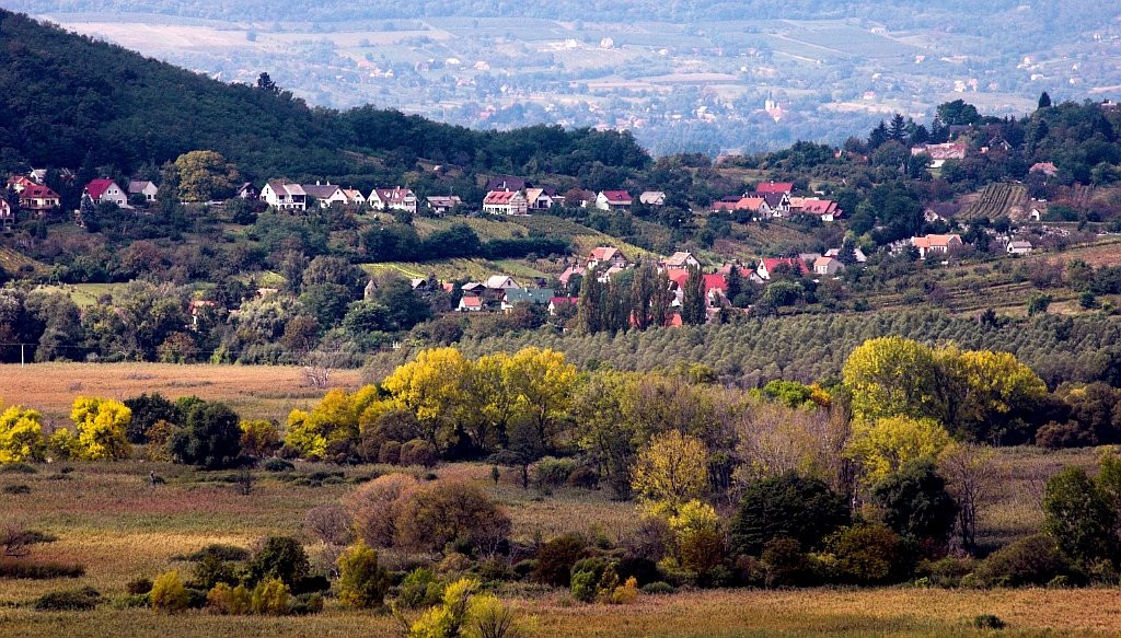 Бадачонь, Балатон озеро, Венгрия, фото № 69716 – фотографии Венгрии