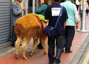 Peru_Lima – фотографии Перу