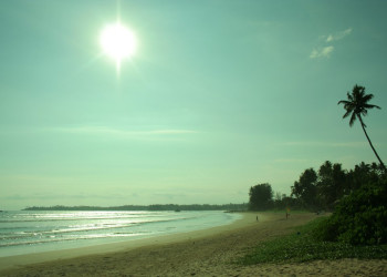 Велигама, Шри-Ланка, фото № 50861 – фотографии Шри-Ланки