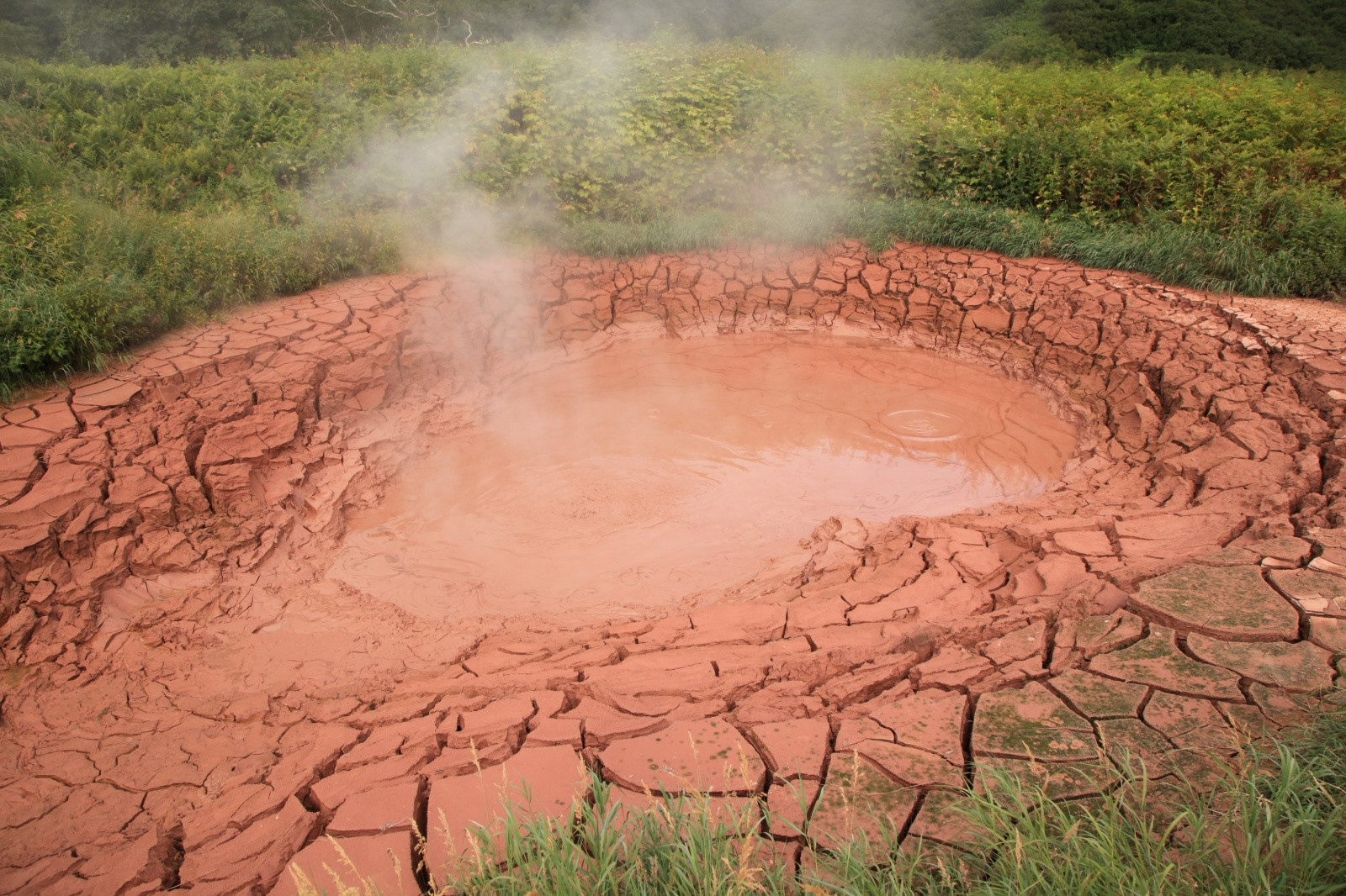 Гейзер на Камчатке в Долине Гейзеров – фотографии России