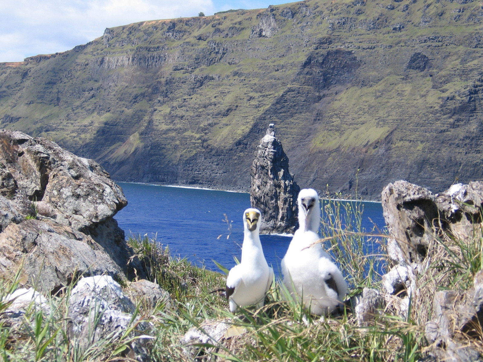 Остров Пасхи, Чили. Фото 4 – фотографии Чили
