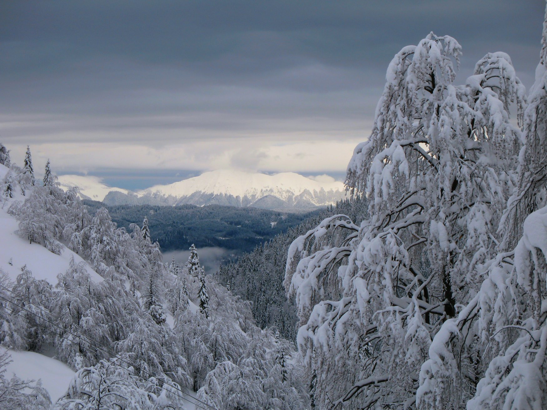 Соришка Планина, Словения, фото № 57554 – фотографии Словении