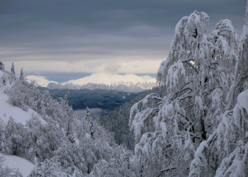 Соришка Планина, Словения, фото № 57554 – фотографии Словении