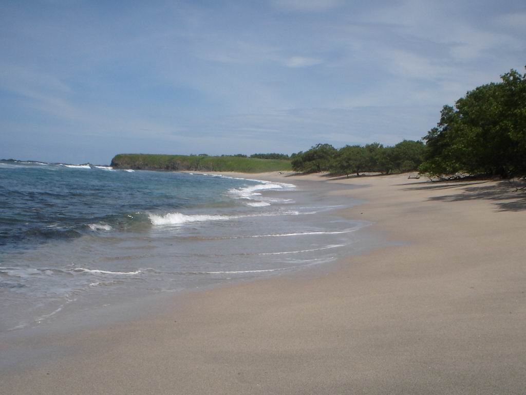 Плайя Нэгра, Гуанакасте провинция, Коста-Рика, фото № 39675 – фотографии Коста-Рики