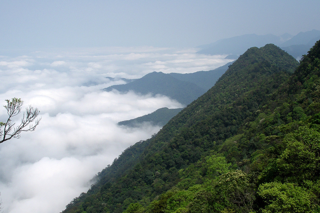 Батьма национальный парк – фотографии Вьетнама