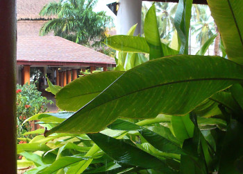 Пунта-Кана2 – фотографии Доминиканы