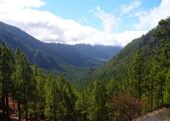 Эль-Пасо, Ла-Пальма остров, Канарские острова, фото № 32324 – фотографии Канарских островов