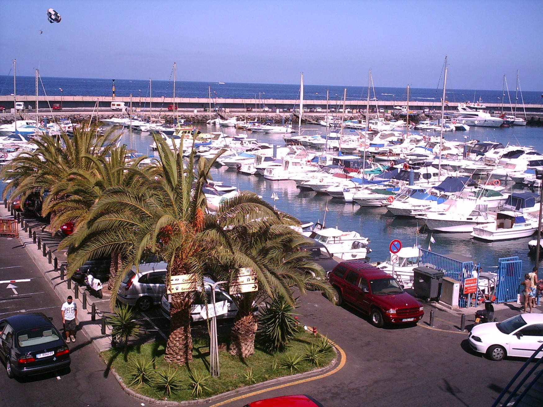 Коста-Адехе, Тенерифе остров, Канарские острова, фото № 33198 – фотографии Канарских островов