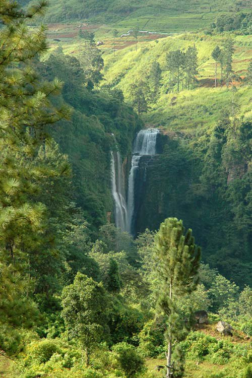 Нувара Элия, Шри-Ланка, фото № 52035 – фотографии Шри-Ланки