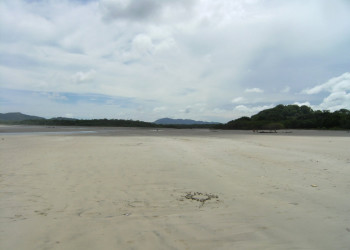 Плайя Авеллана, Гуанакасте провинция, Коста-Рика, фото № 39423 – фотографии Коста-Рики