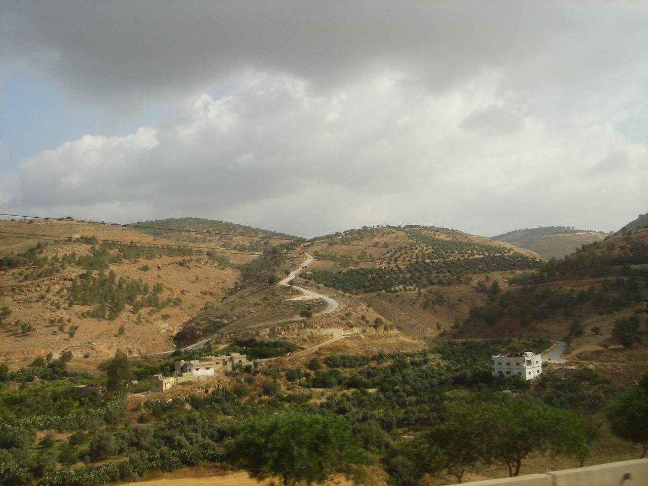 Ирбид, Иордания, фото № 36781 – фотографии Иордании