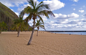 Сан-Андрес, Тенерифе остров, Канарские острова, фото № 33783 – фотографии Канарских островов