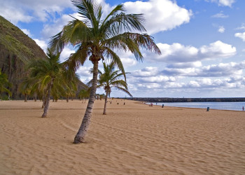 Сан-Андрес, Тенерифе остров, Канарские острова, фото № 33783 – фотографии Канарских островов
