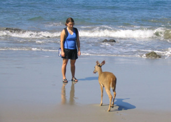 Мануэль Антонио Национальный Парк, Пунтаренас провинция, Коста-Рика, фото № 40662 – фотографии Коста-Рики