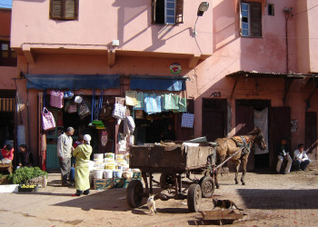 Марракеш, Марокко, фото № 7728 – фотографии Марокко